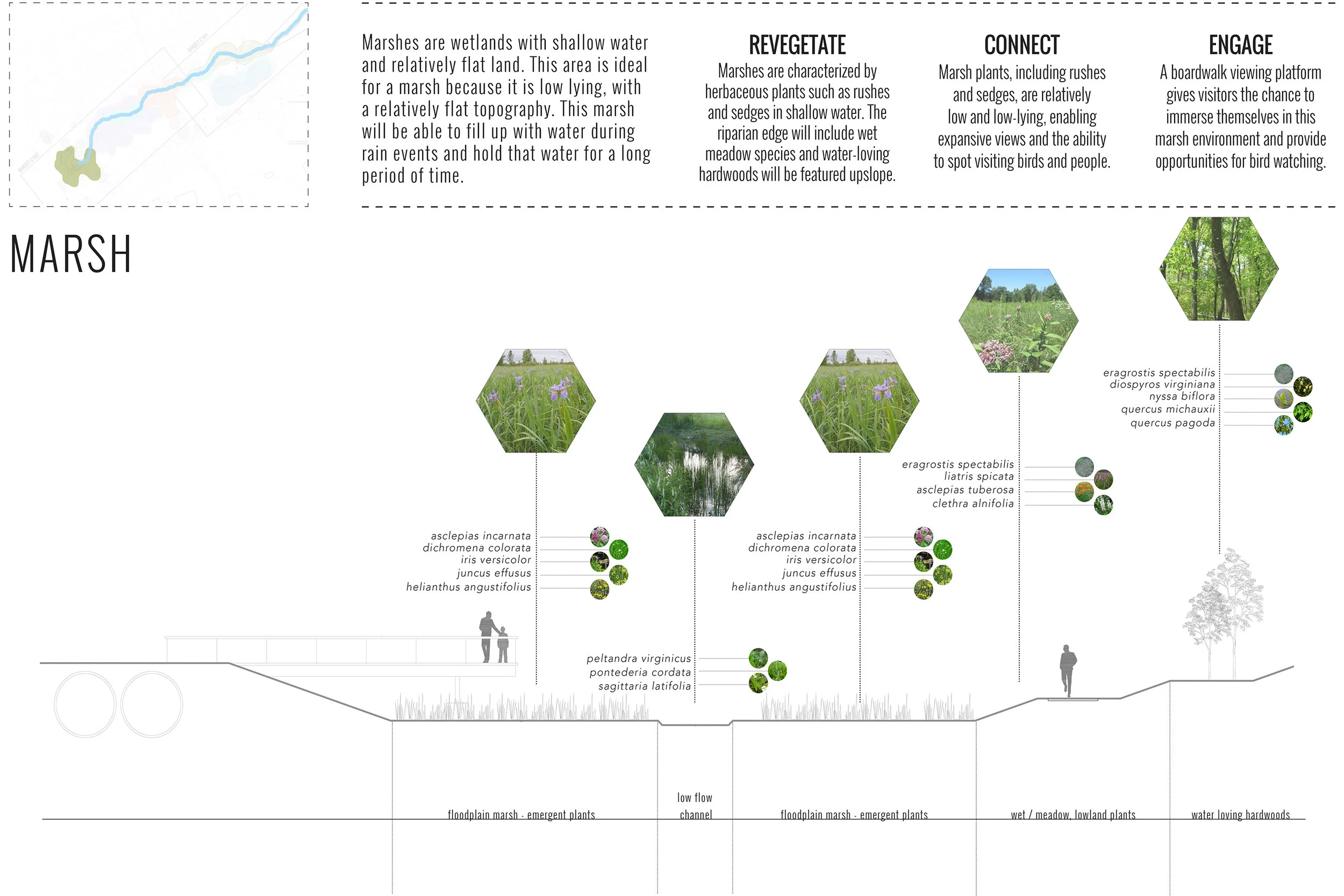 Roots_First_Design_Smith_Branch_2.jpg