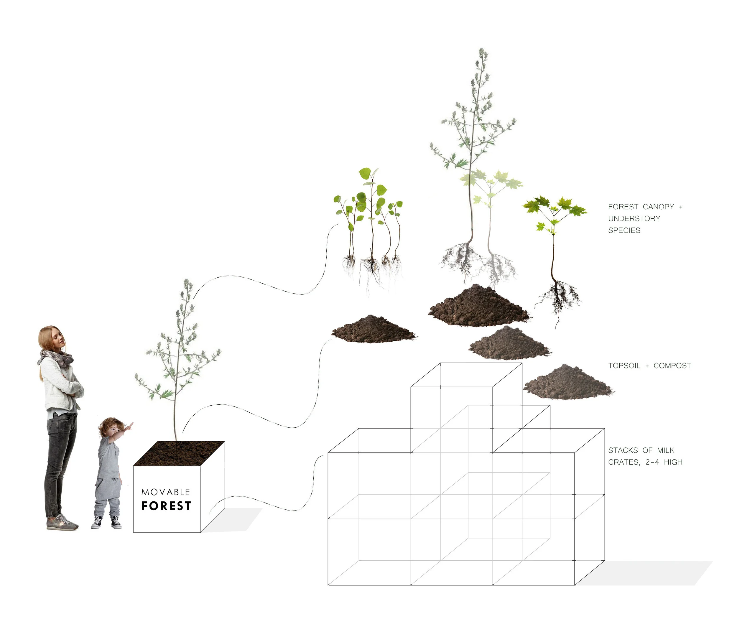 Roots_First_Design_Movable_Forest_1.jpg