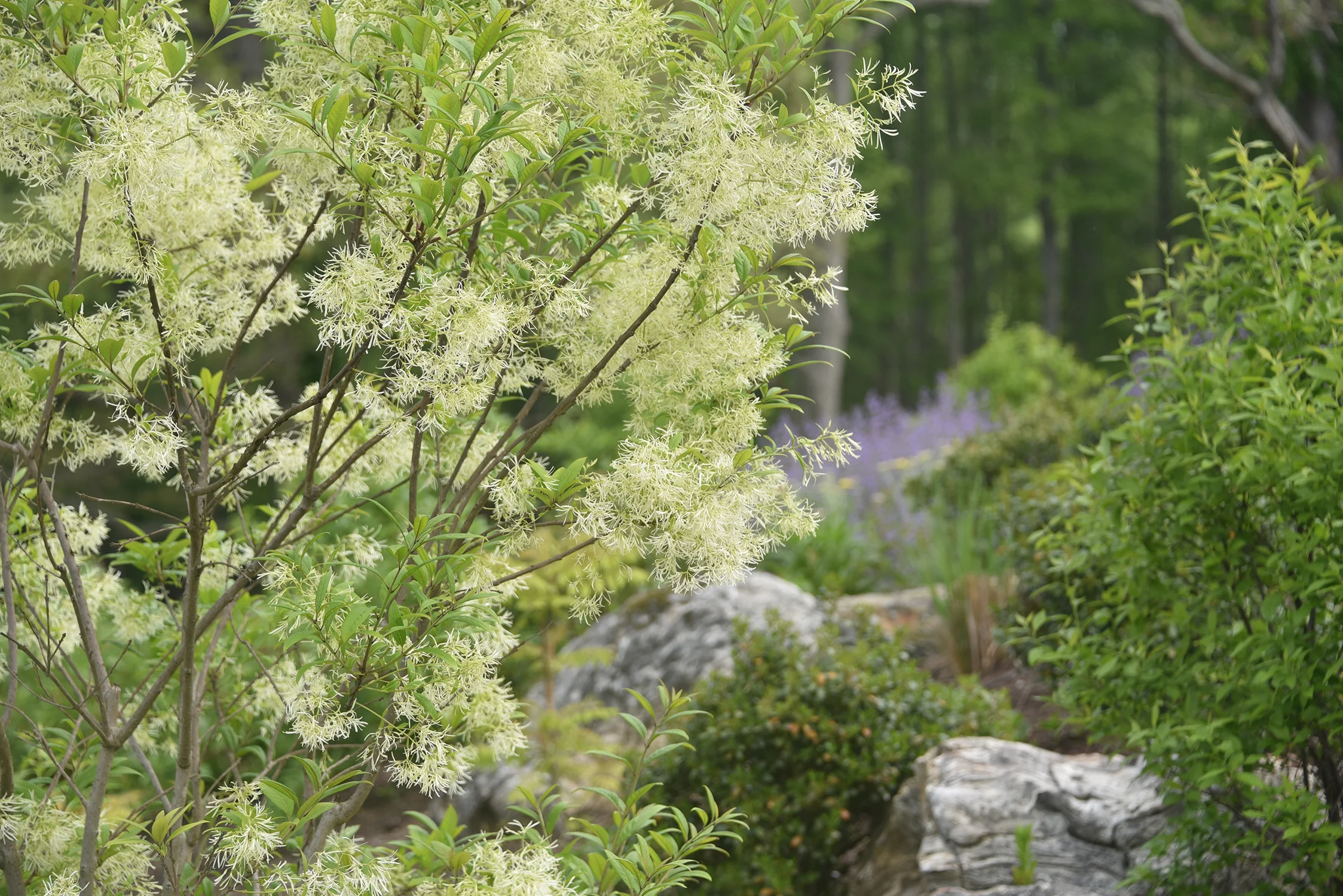 Roots_First_Design_Private Estate_5.jpg