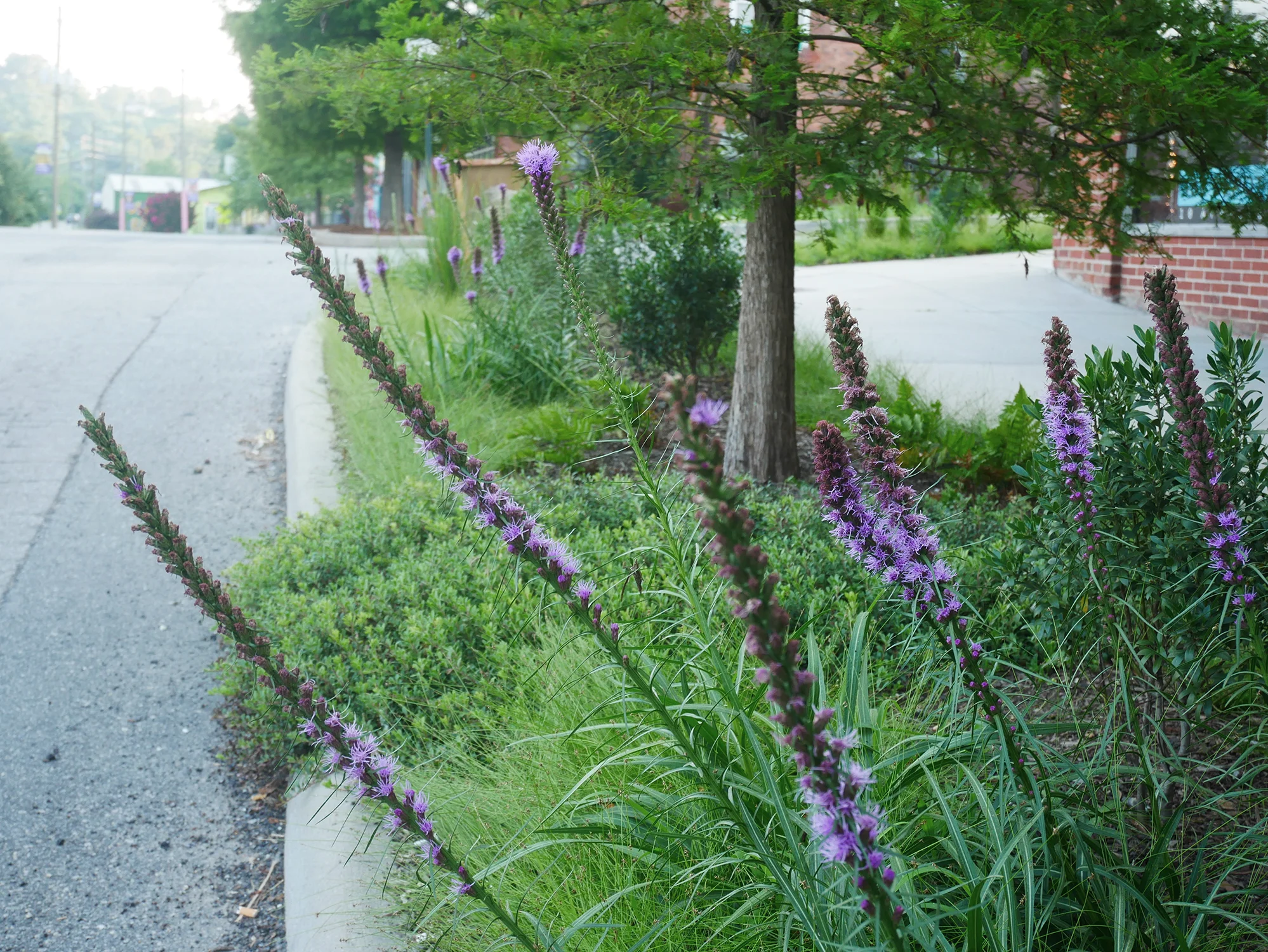 RootsFirstDesign_DepotPlanters_7.jpg