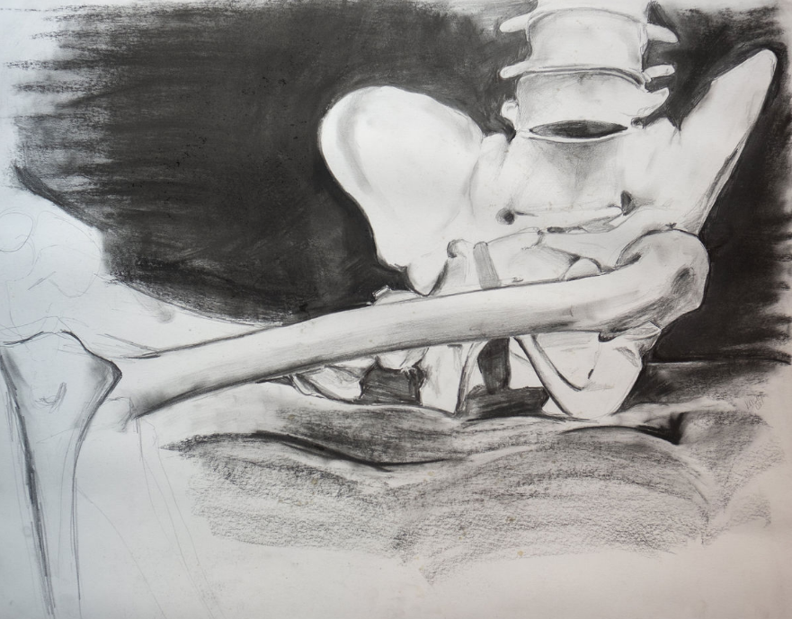 Screen Shot 2019-04-15 at 8.36.54 AM.png