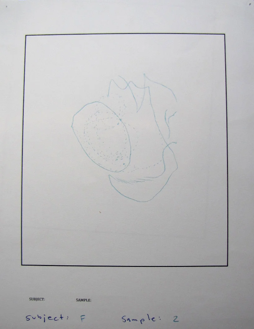    
  
 
  
    
  
 0 
 false 
 
 
 18 pt 
 18 pt 
 0 
 0 
 
 false 
 false 
 false 
 
  
  
  
  
 
  
    
  
  
   
 
 /* Style Definitions */
table.MsoNormalTable
	{mso-style-name:"Table Normal";
	mso-tstyle-rowband-size:0;
	mso-tstyle-colband-s