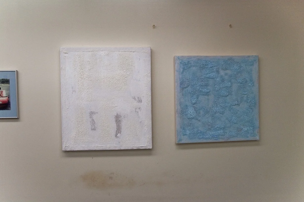 Kristin Beinner