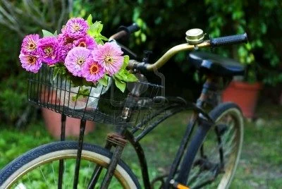 Our Method Moms are some the strongest people we know. Celebrate your mom or celebrate being a mom by bring your family to ride, on us!