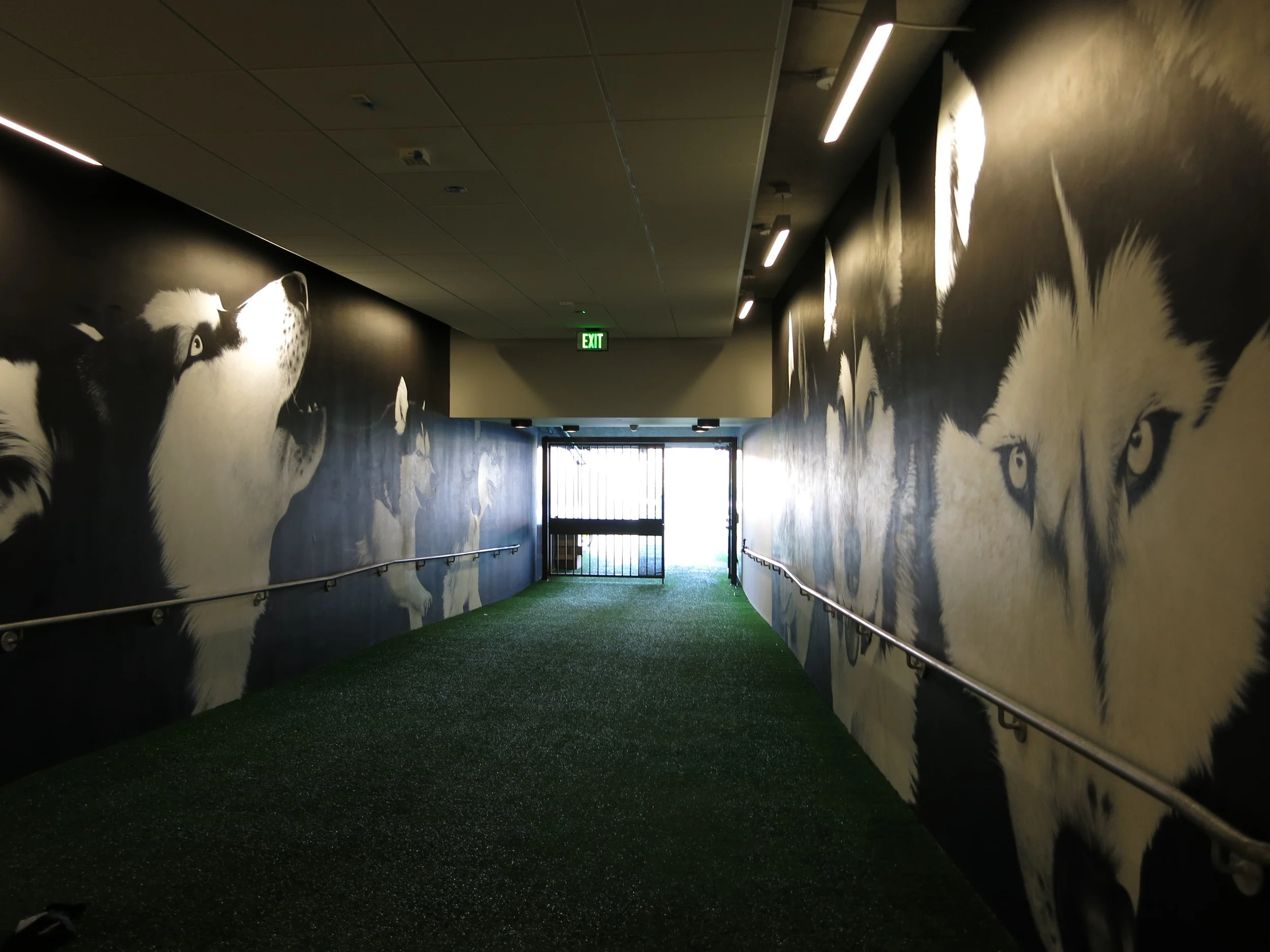 Football Tunnel, Husky Stadium, UW, Seattle 2014