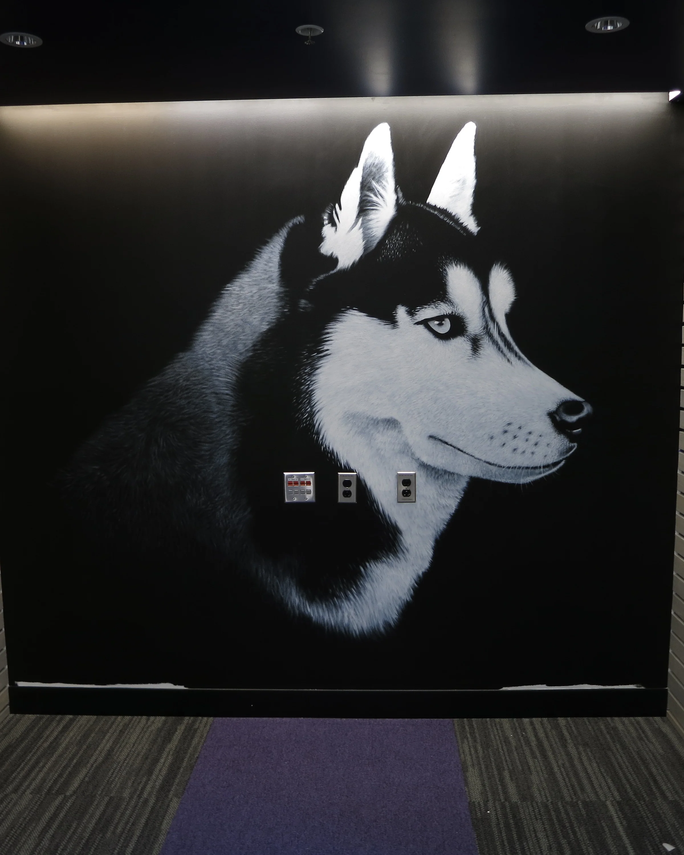 Study Booths in Ackerly Center, Computer Lab, UW, 2015