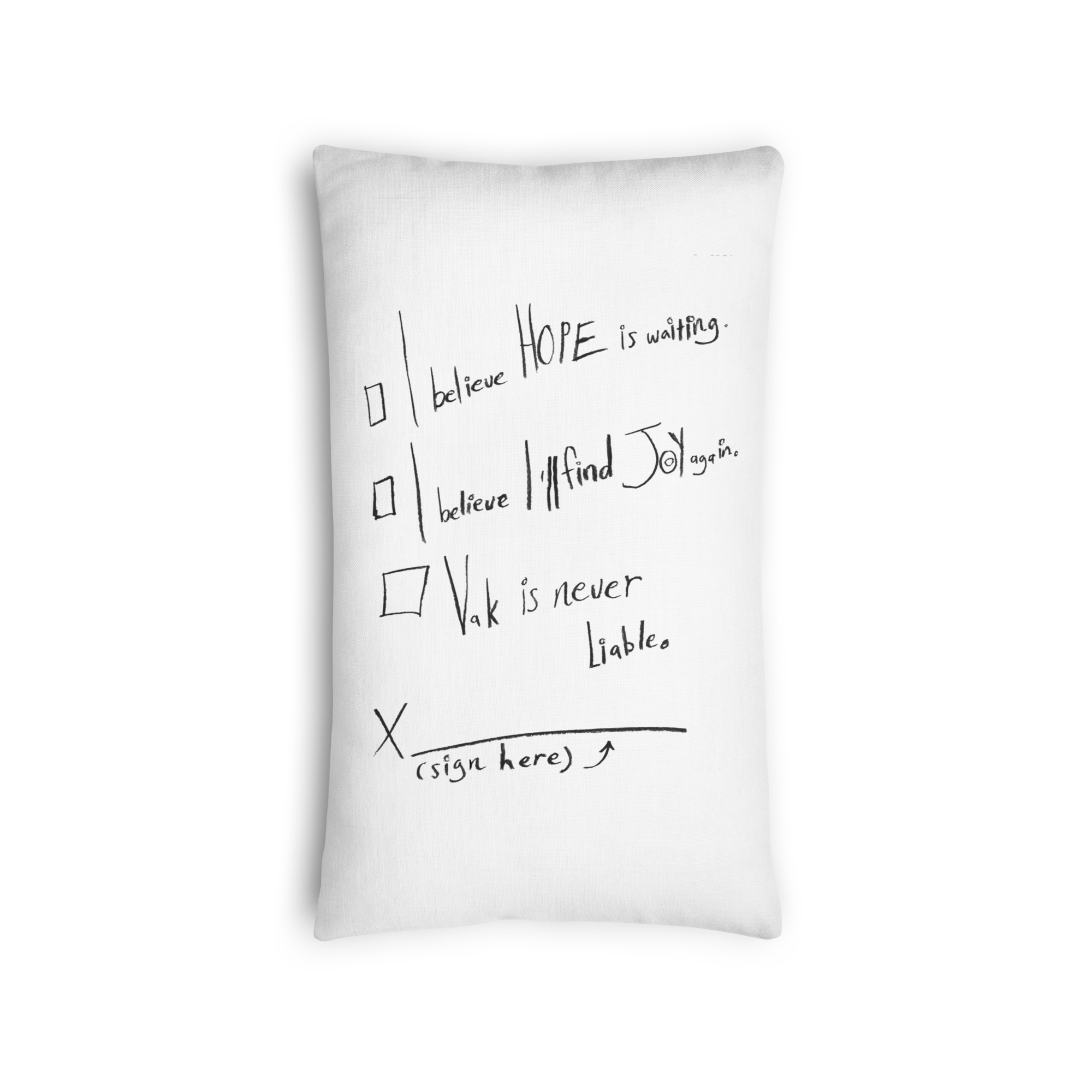 all-over-print-premium-pillow-20x12-back-69012cb7a1f81.png