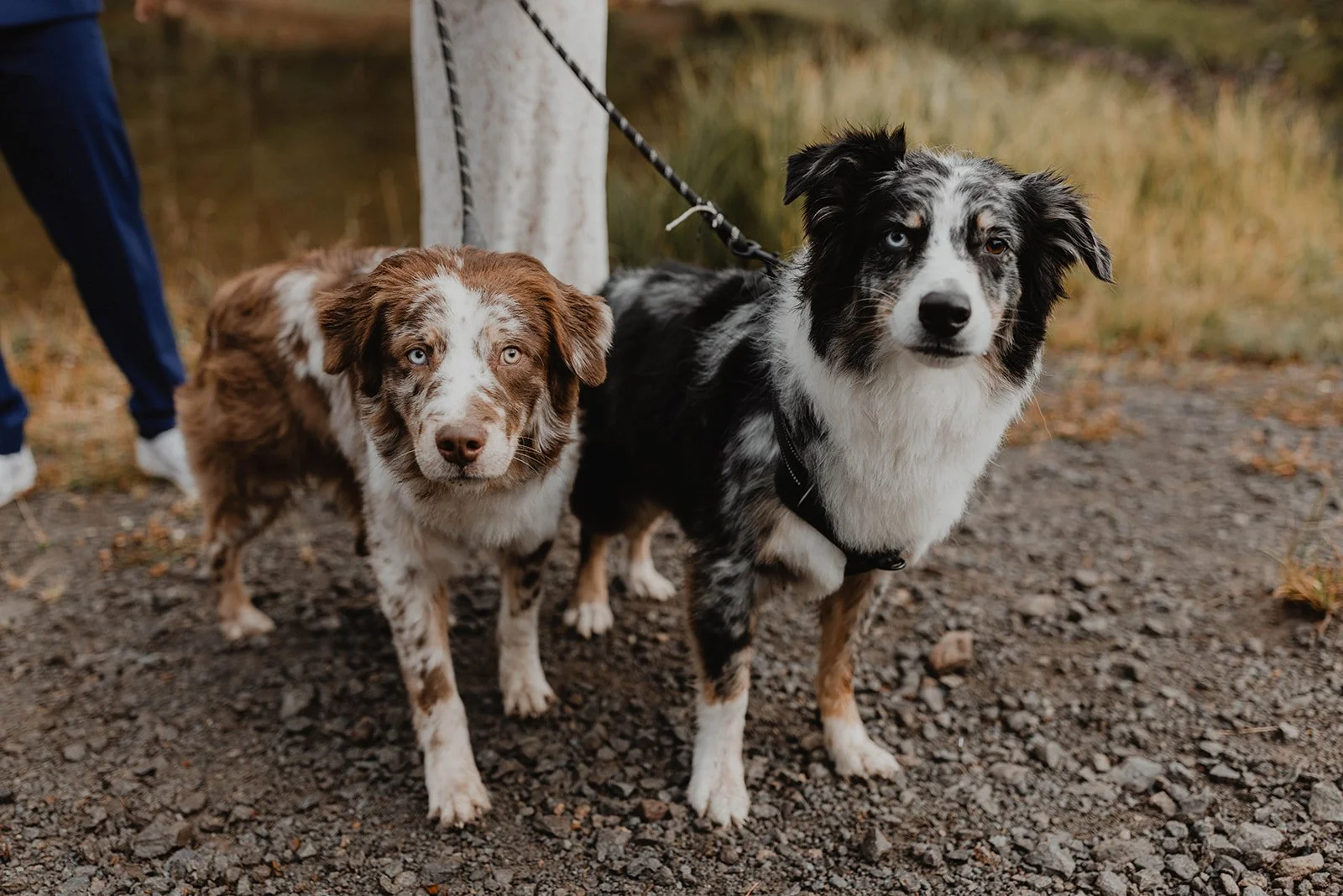 Katie-Zach-Alta-Lakes-Telluride-Colorado-Elopement-91.jpg