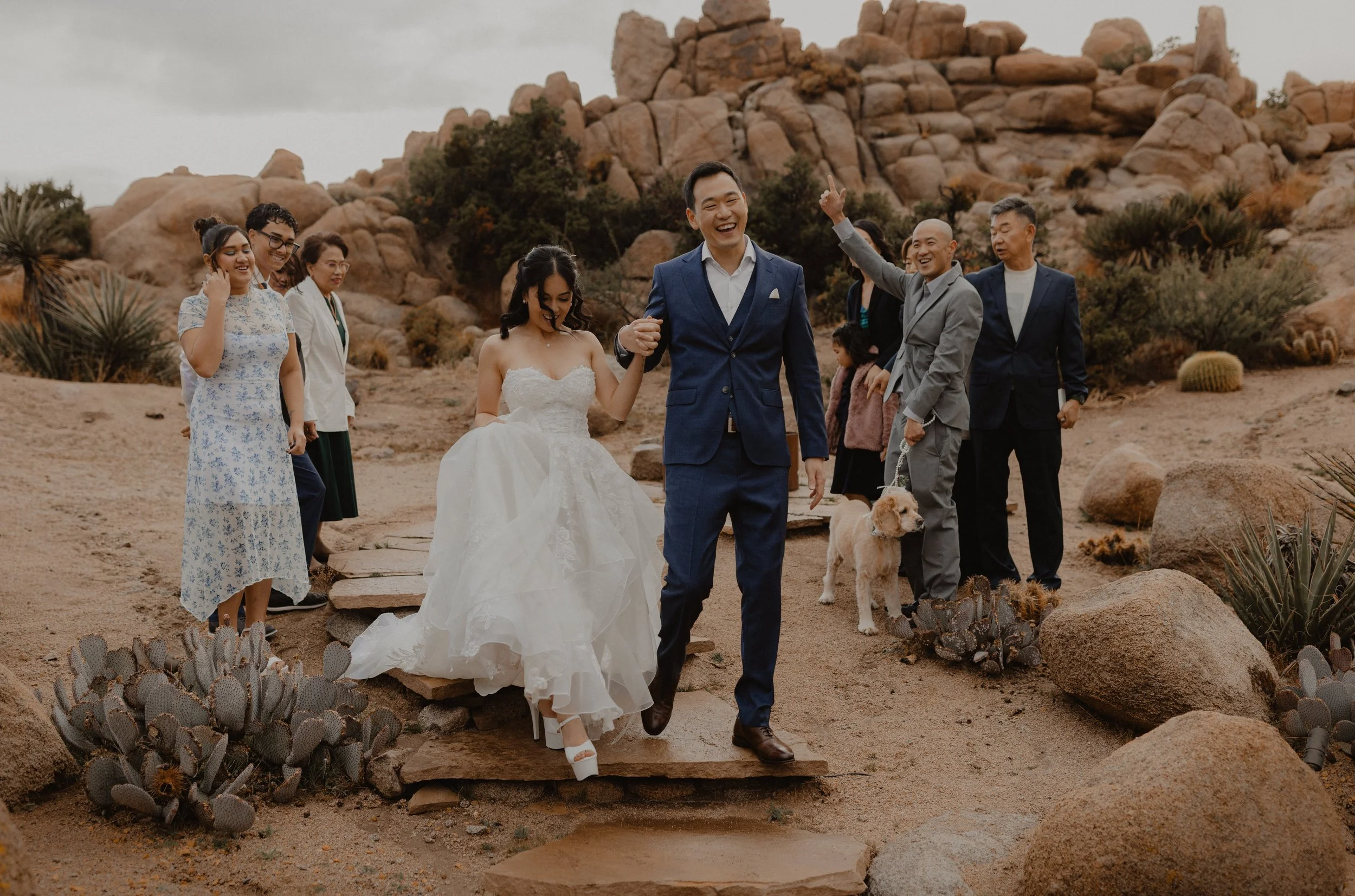 A wedding party in the desert landscape of Joshua Tree with rocks and succulents, with the bride and groom walking down steps while friends and family watch and smile.