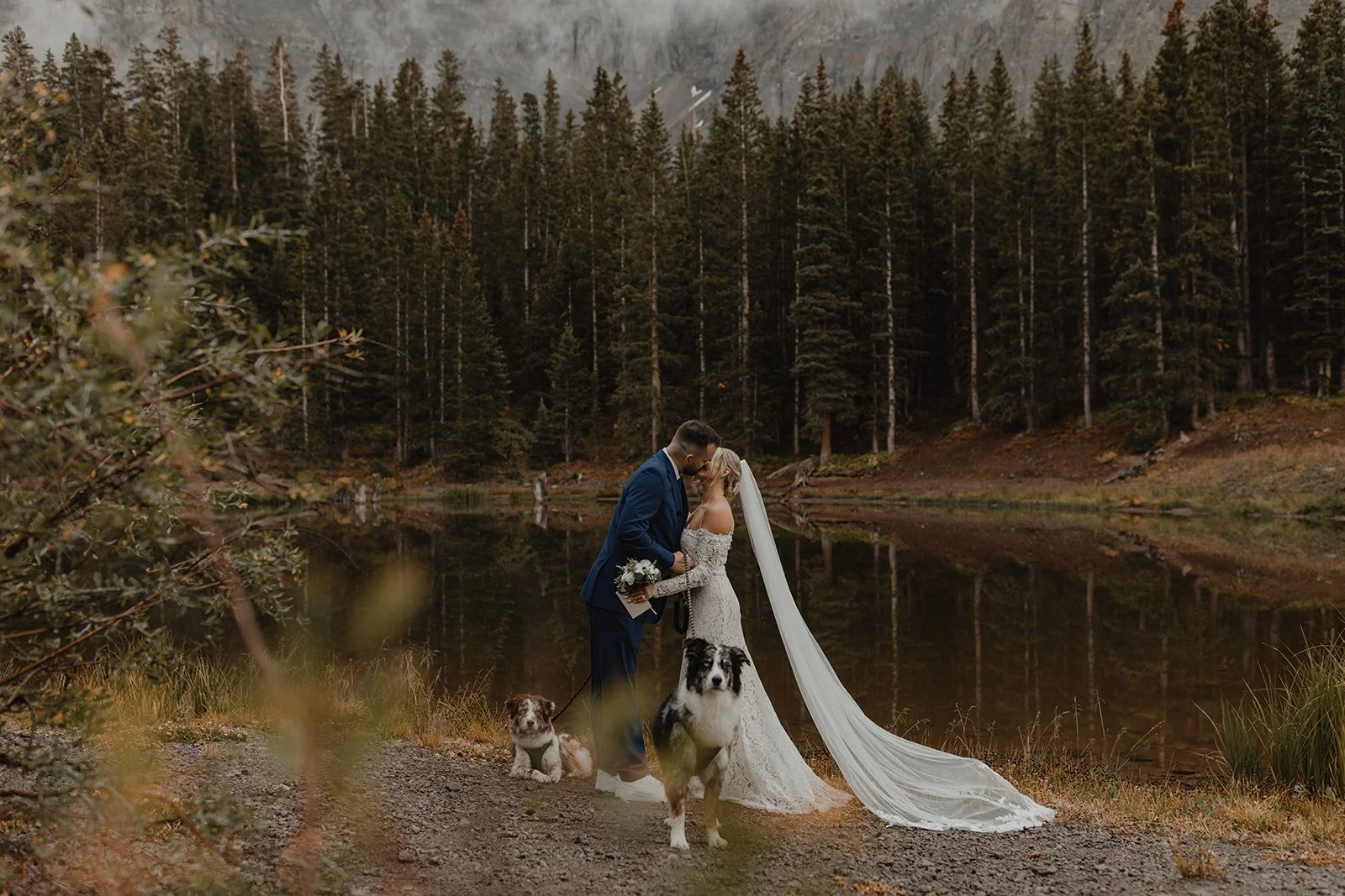 A bride and groom share a kiss beside a lake, with two dogs sitting near them, surrounded by a dense forest and mountains in the background.