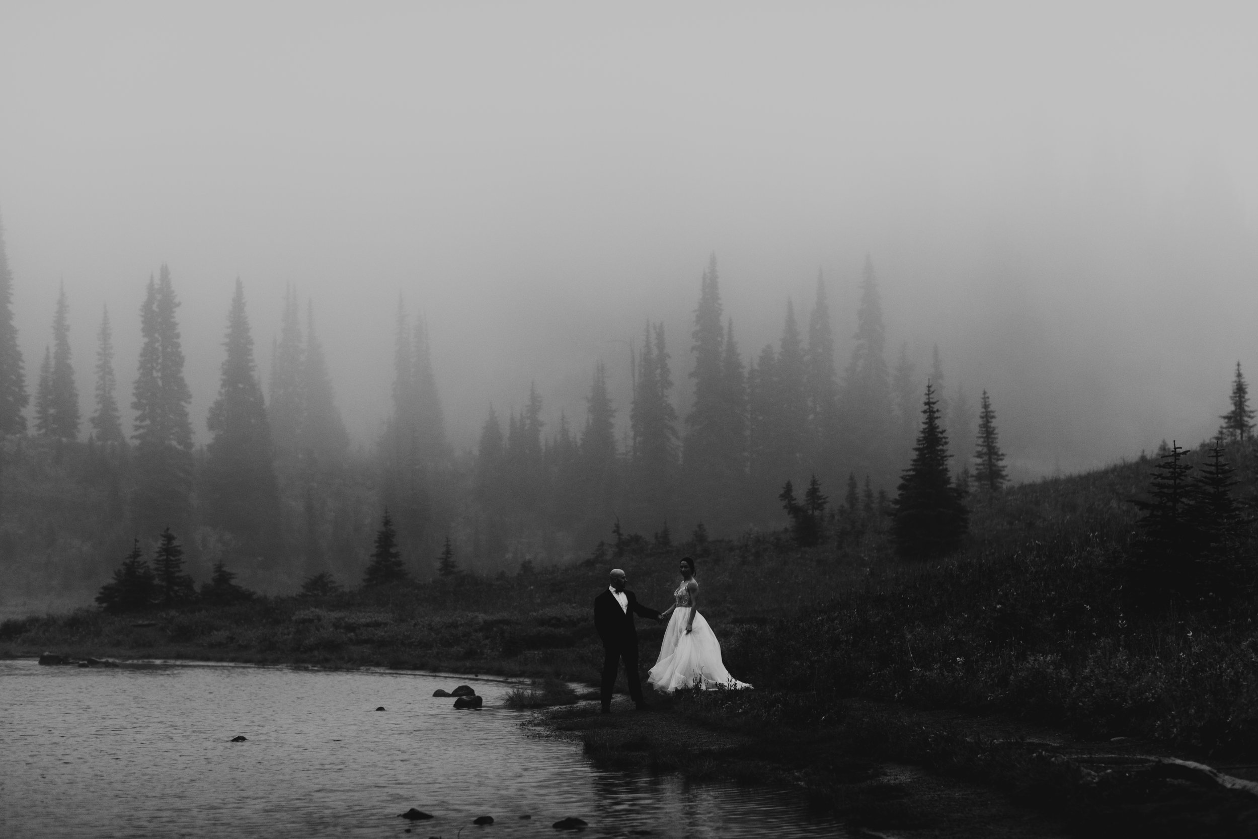 mount_rainier_national_park_seattle_washington_elopement_videographer-26.jpg