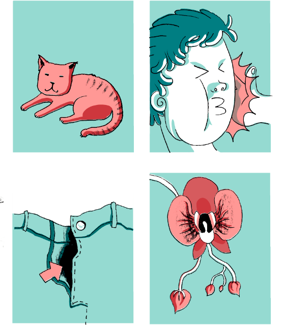 Tagesspiegel: Über Kosenamen…