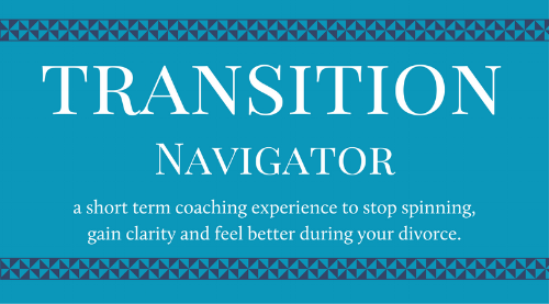Transition Navigator new.png