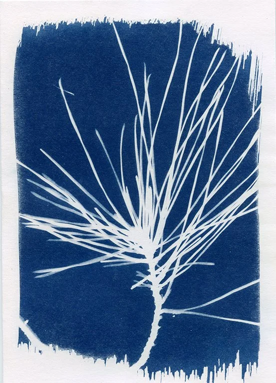 SB0035 Greeting Card