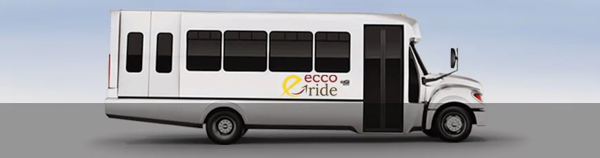 ecco transit