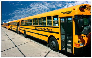 ecco ride yellow school buses