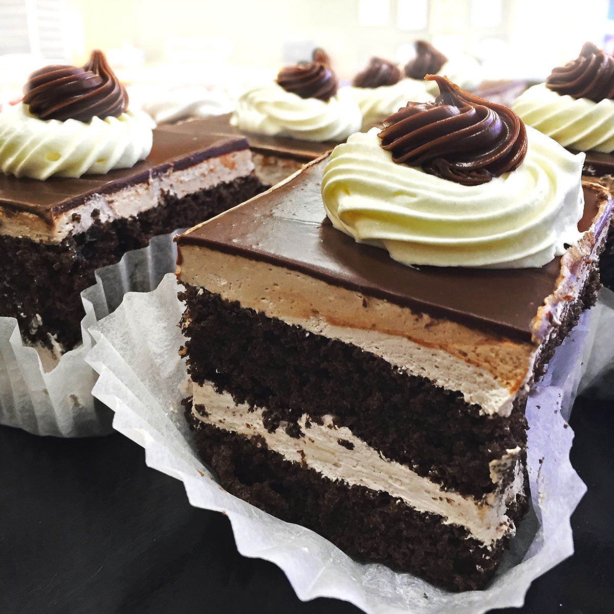 08_Chocolate_Ganache_Cake_SliceS.jpg