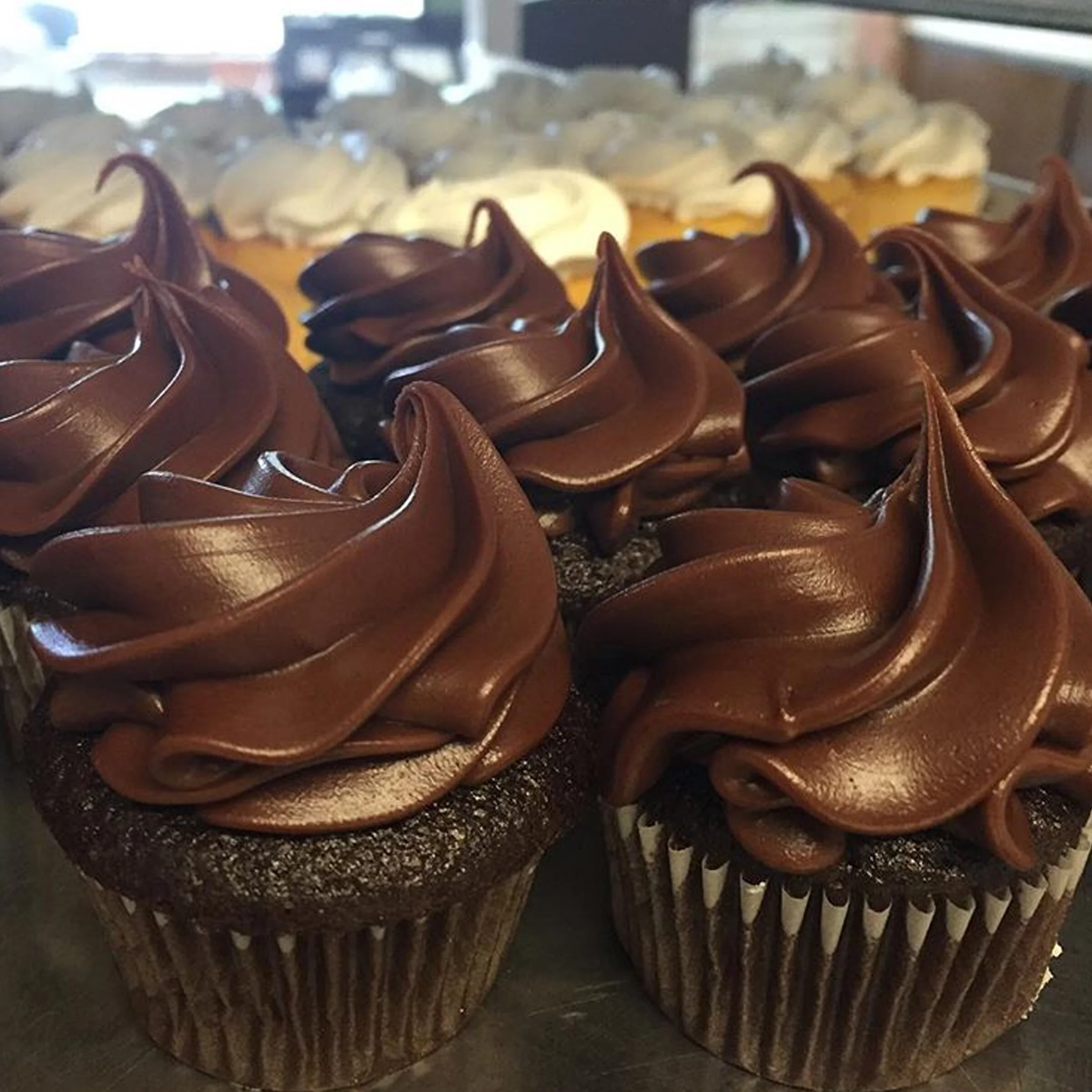 cupcakes.jpg