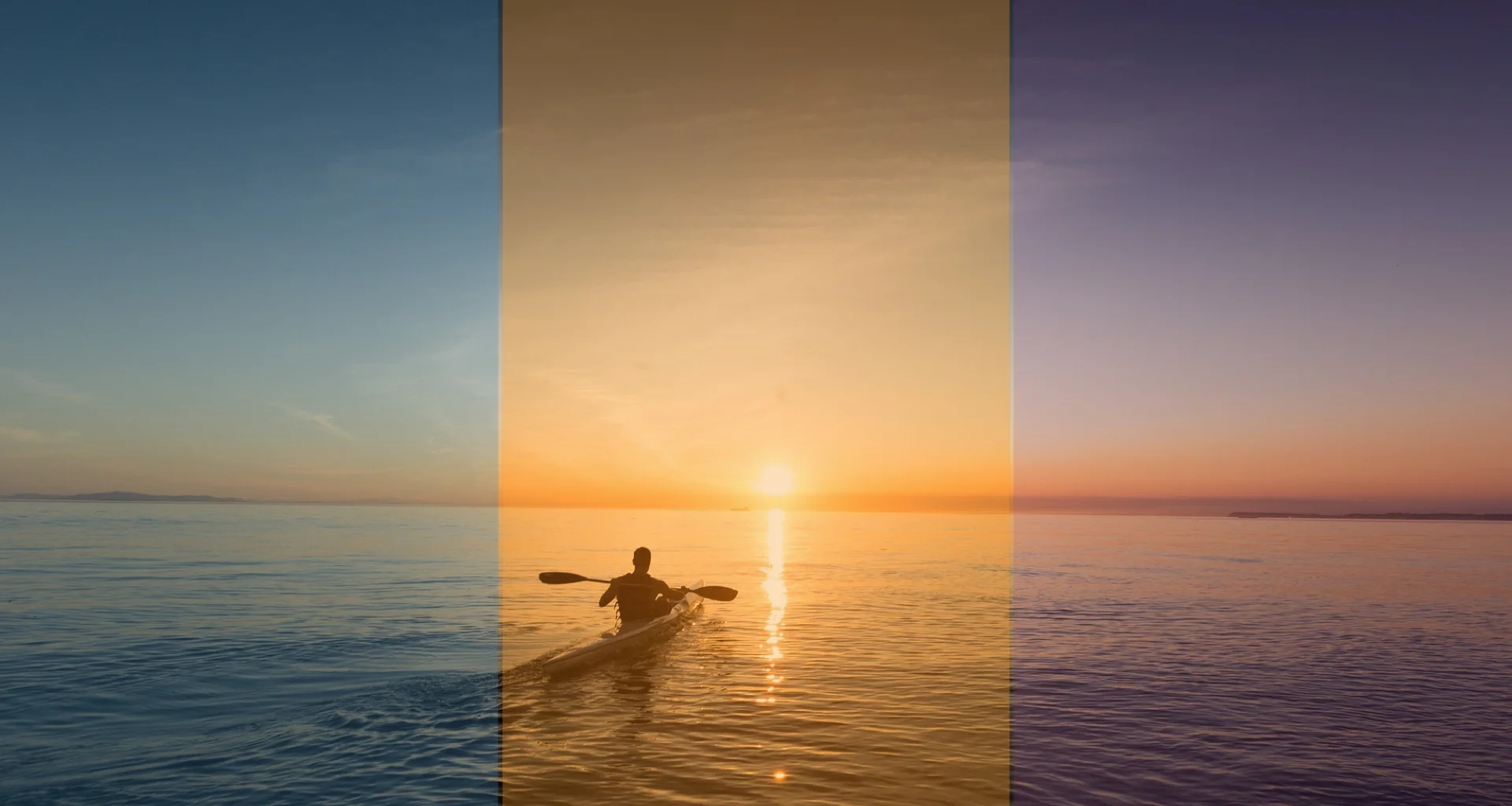 Optomobile - Brand 2016.004.jpeg