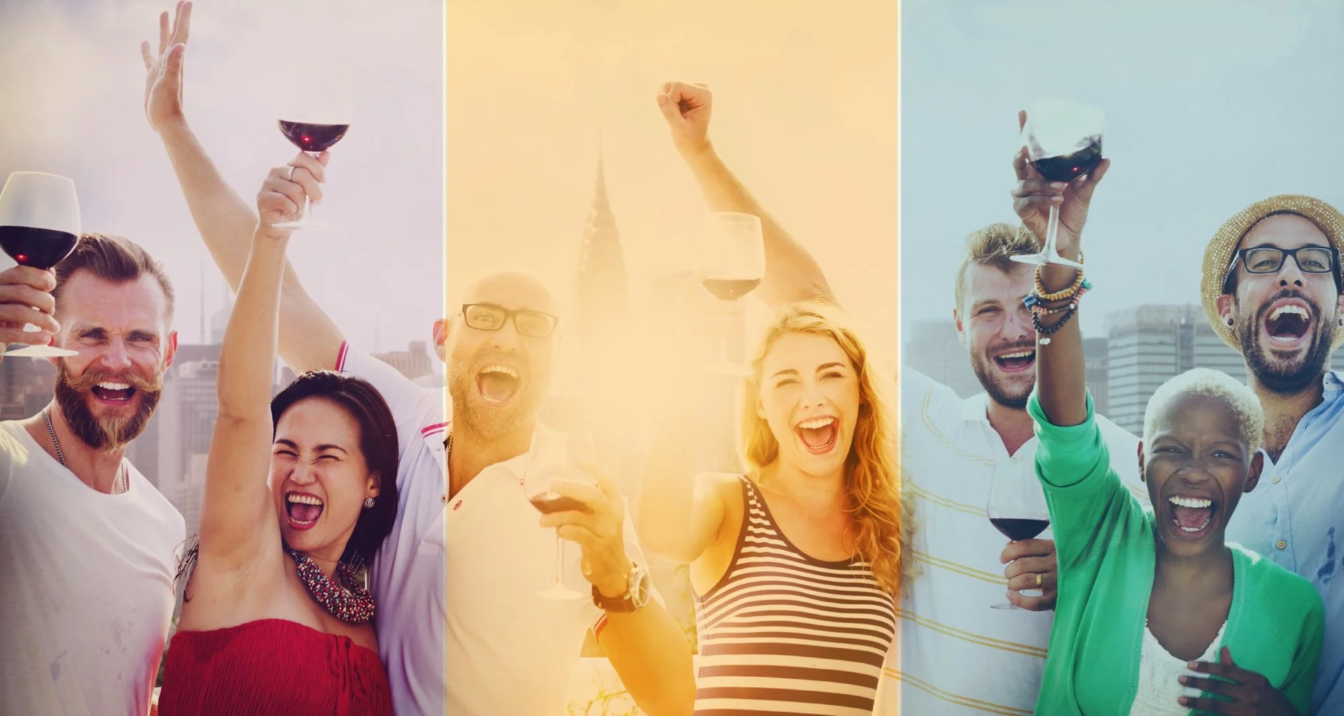 Optomobile - Brand 2016.005.jpeg