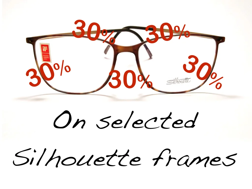 Silhouette 30% EN.001.jpeg