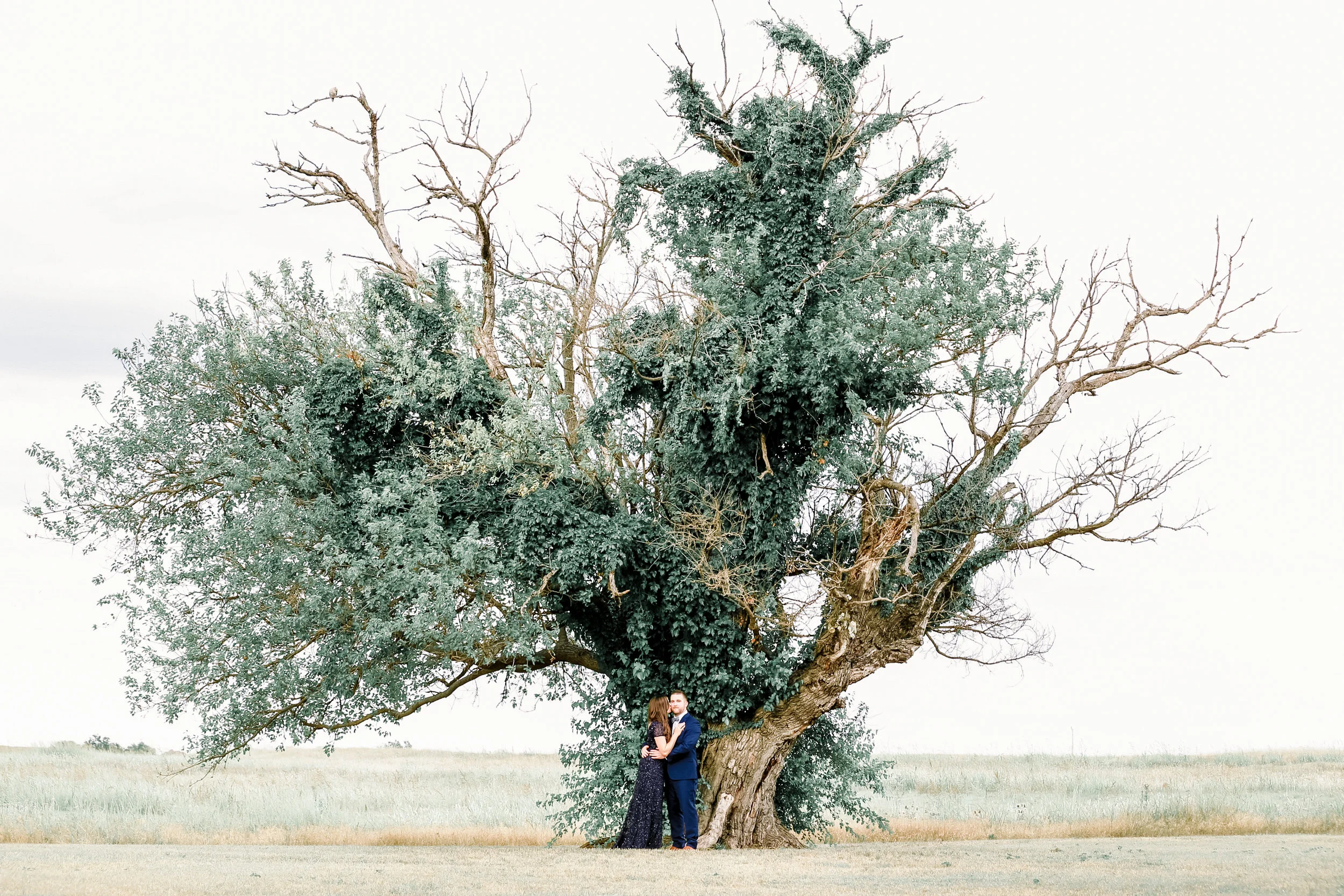 BattagliaEngagements-NewPreset-2.jpg