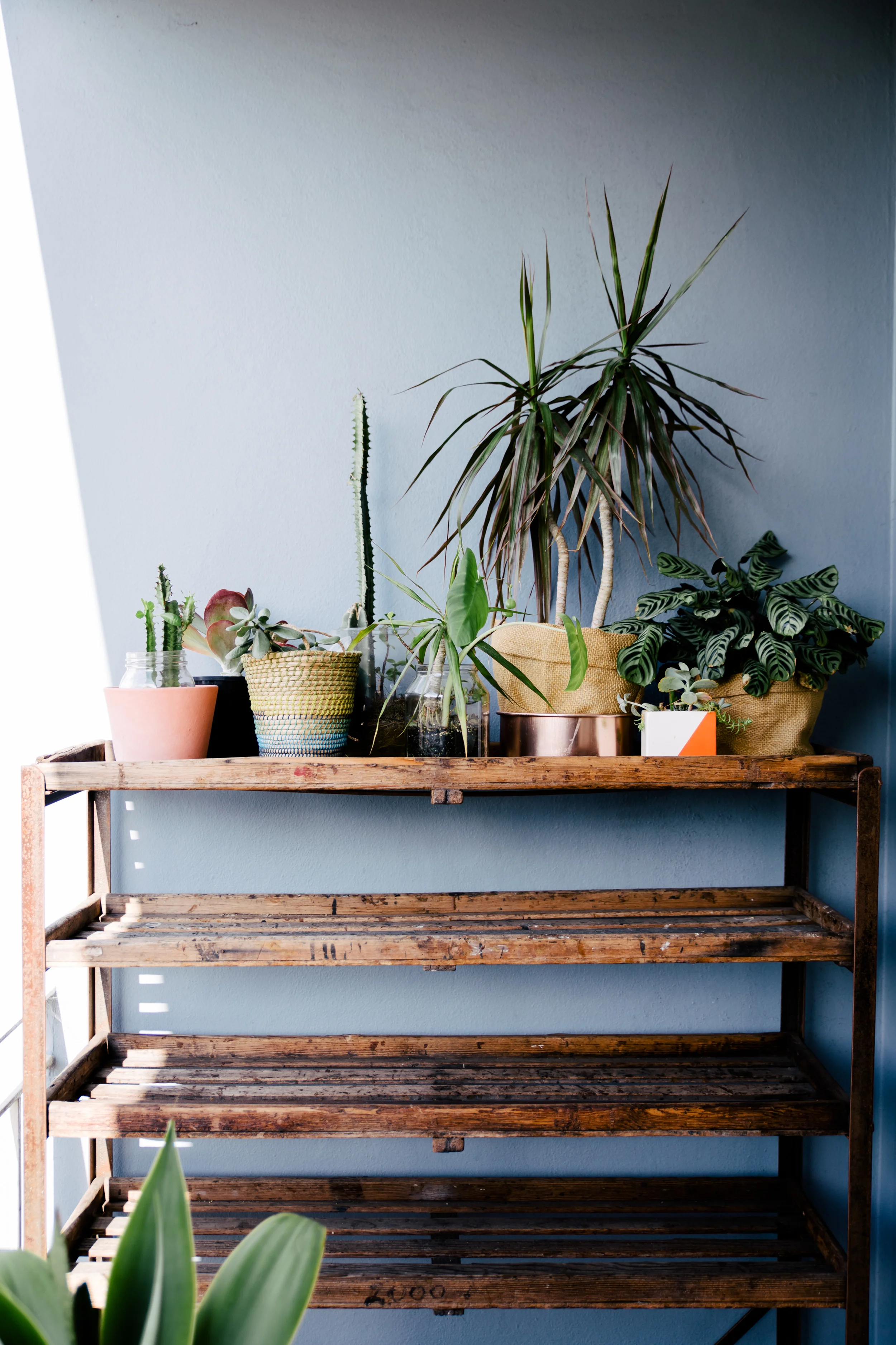DesignSponge-095.jpg