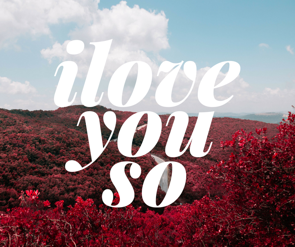 Learn to use Canva