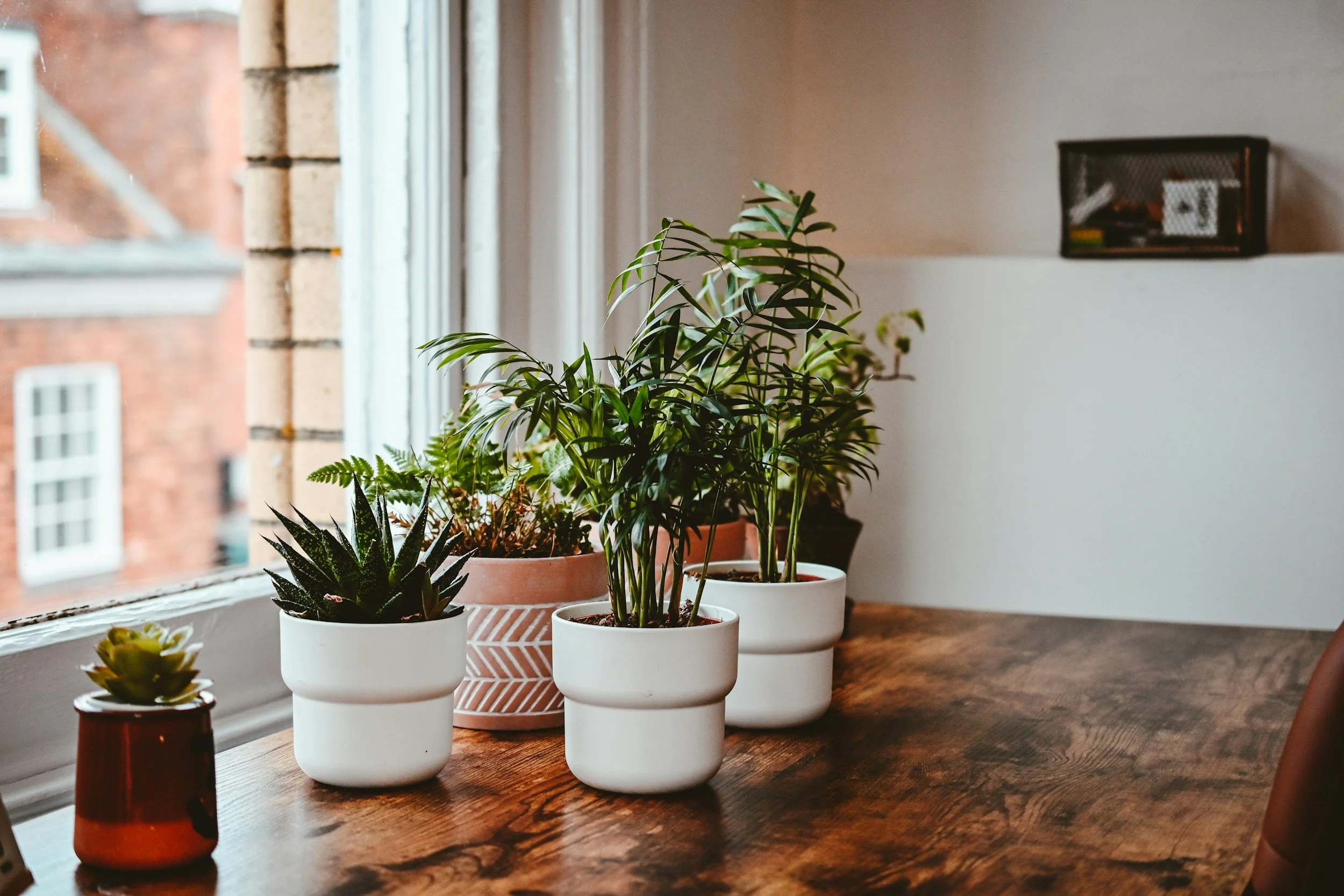 The Vision Alignment: How to Set Revenue Goals That Actually Mean Something