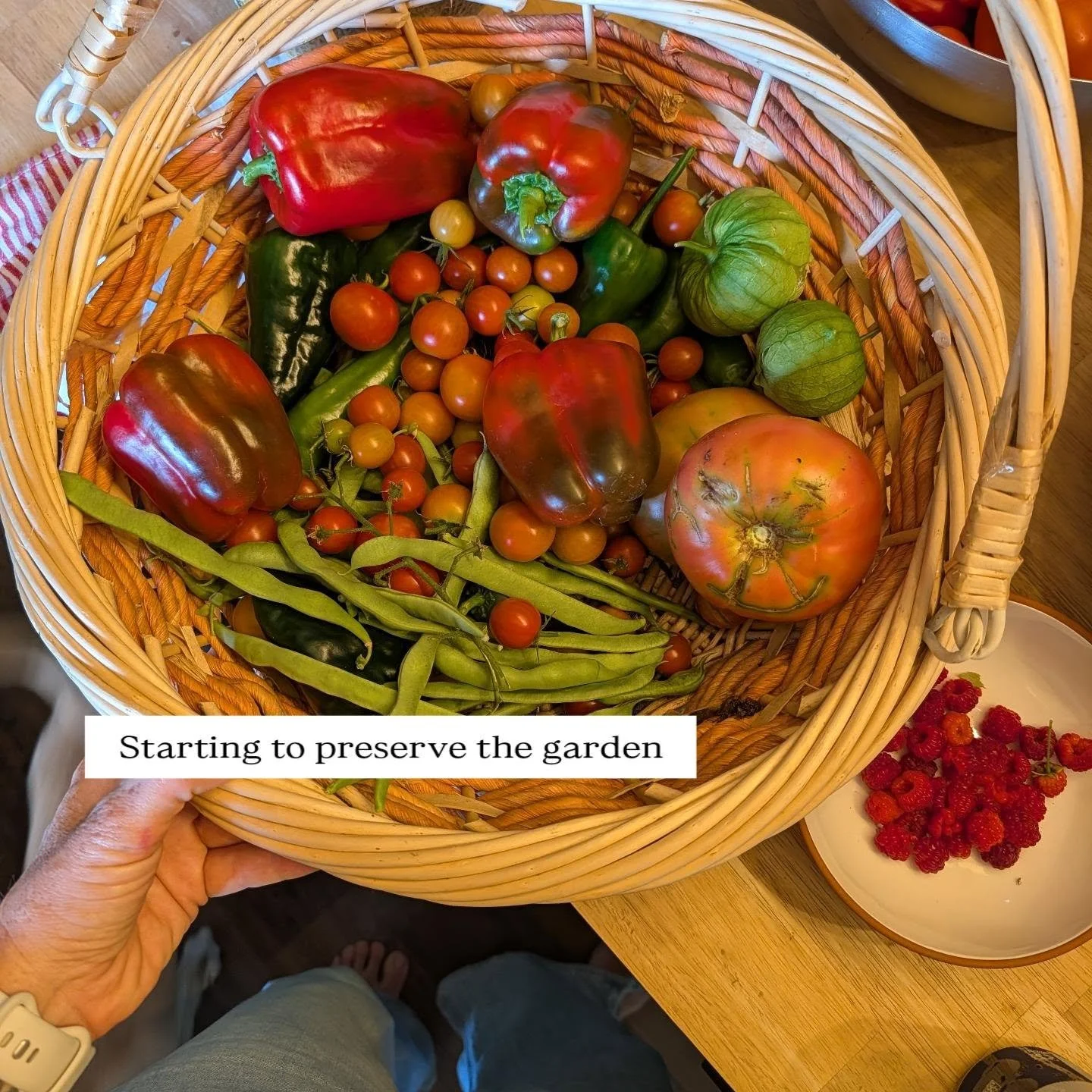 Enjoy these pics of my garden and weekend activities so I can hit my 30/100 consistent post 🤣

My bestie @martinaglows and I challenged each other to 100 days of consistent posting.

Can't miss a day, and since I got carried away in the kitchen, thi