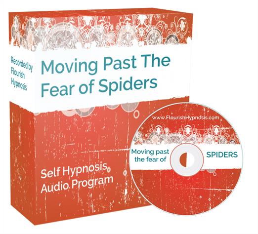 Move past the fear of spiders