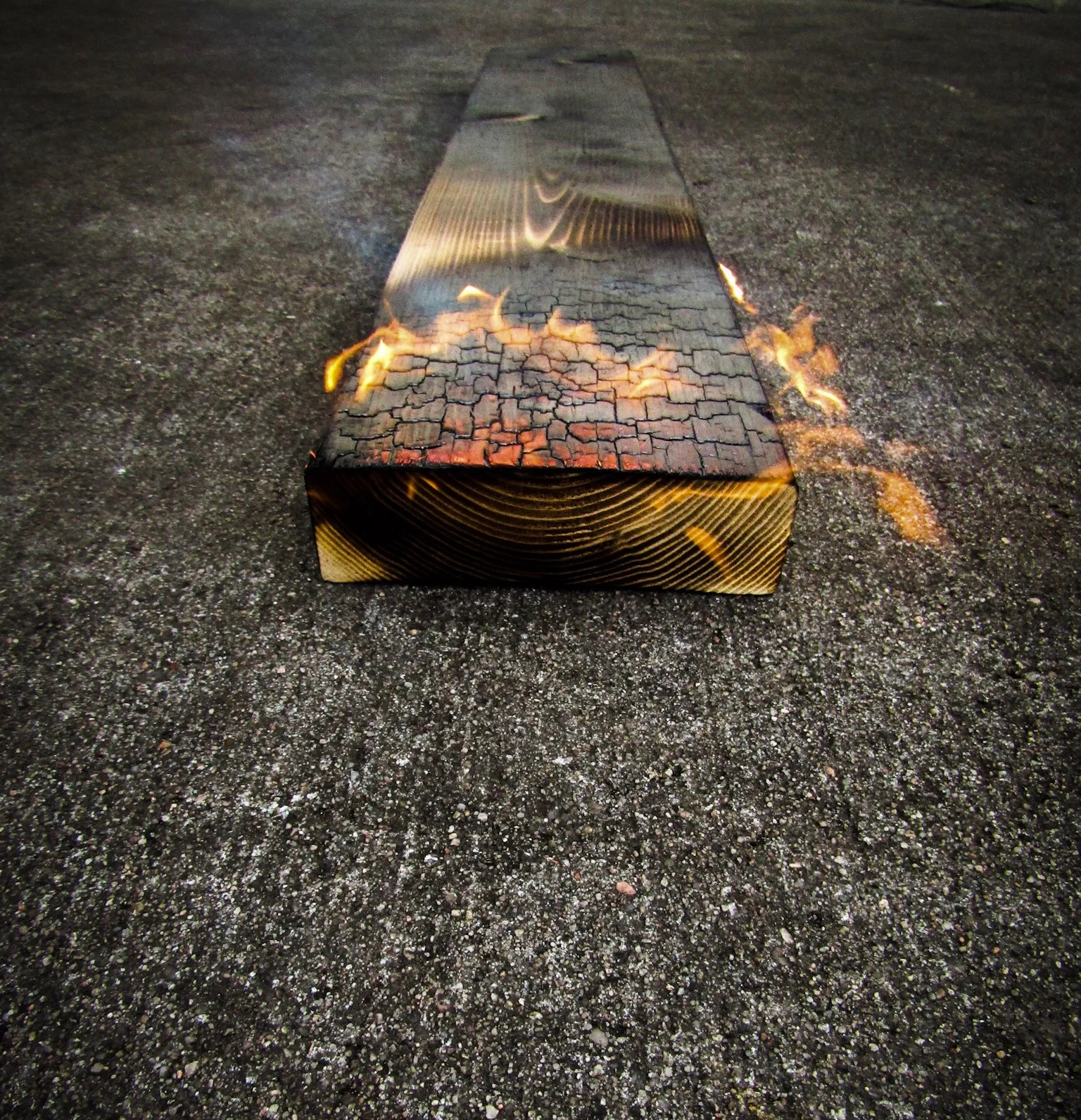 Yakisugi or Shou Sugi Ban - Charred Cedar Raised Garden Beds