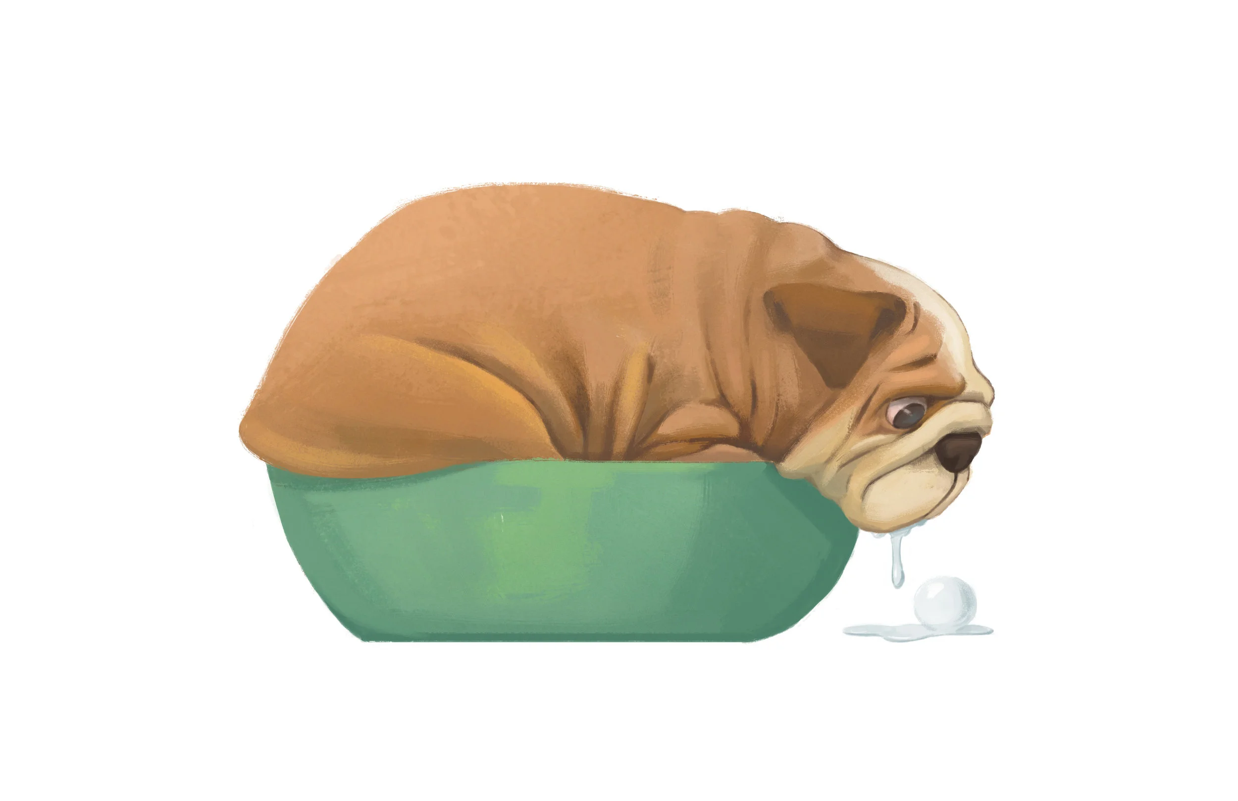 bulldog_painted.jpg