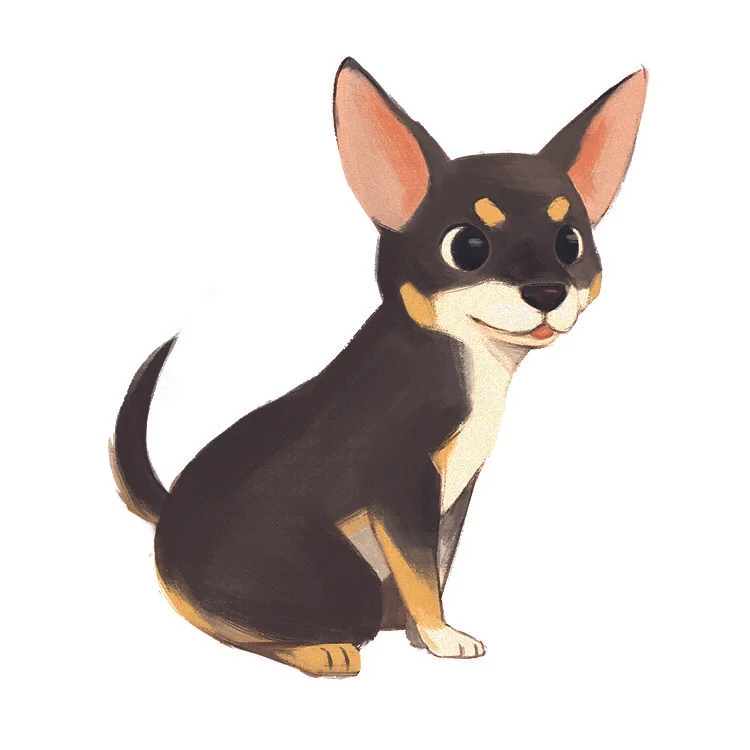 chihuahuacolor.jpg
