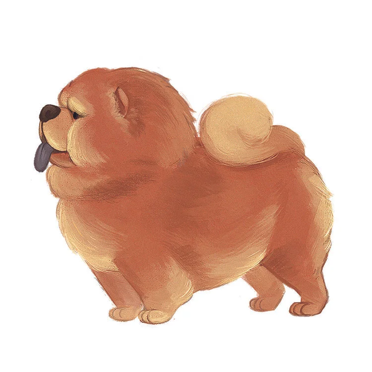 chowchow.jpg