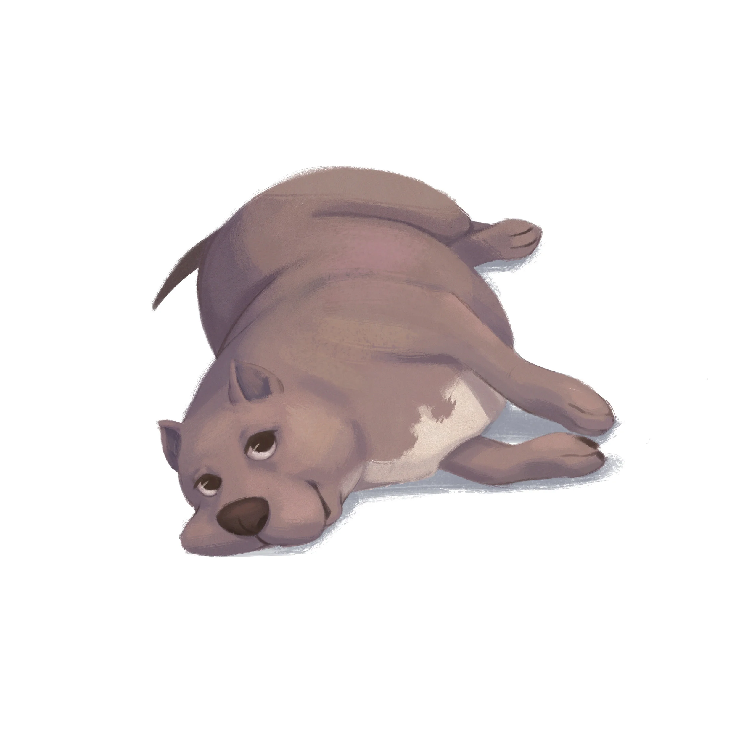 Pittbull.jpg