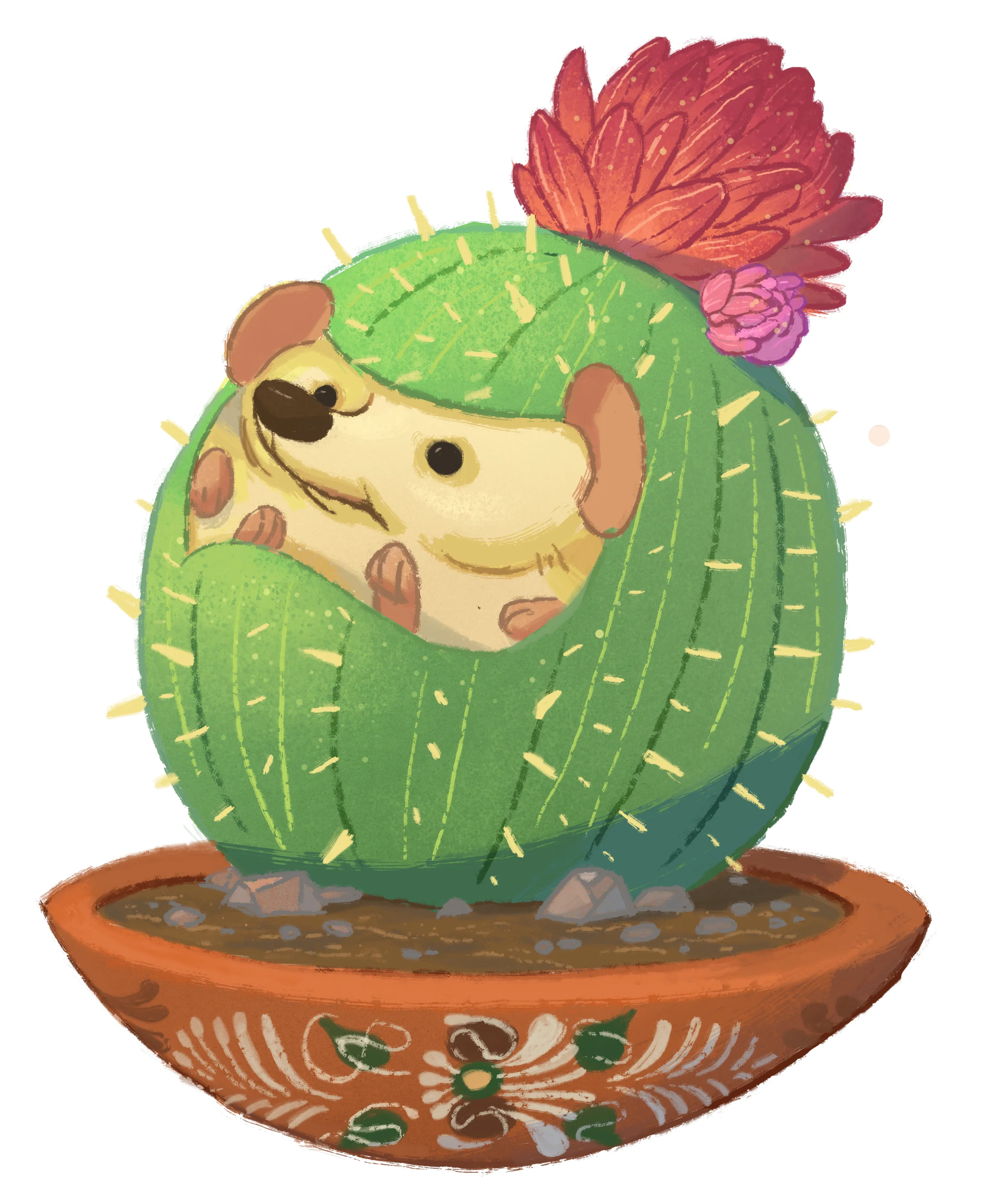 cactushedgie.jpg