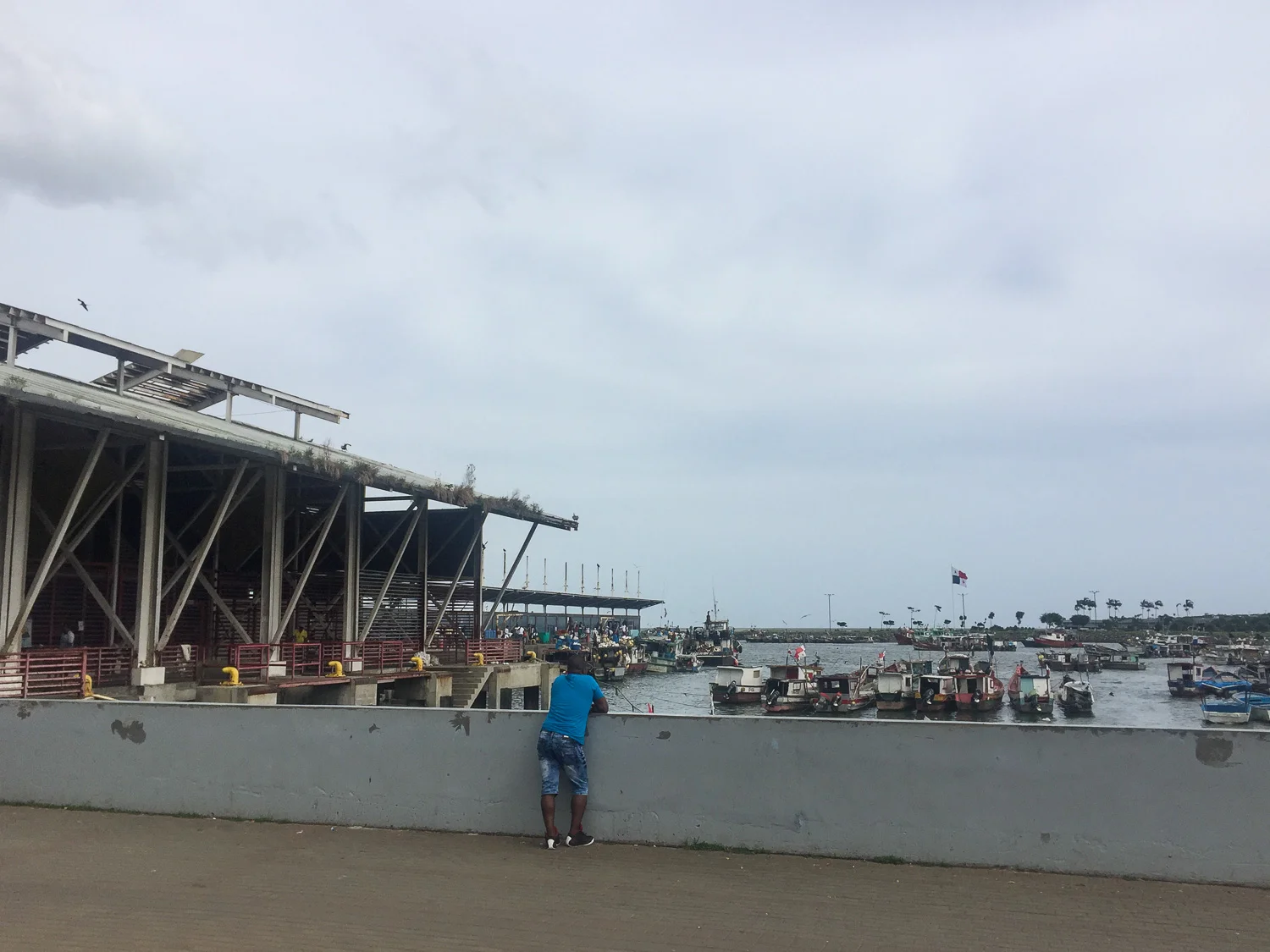 Panama Travel Series-18.jpg