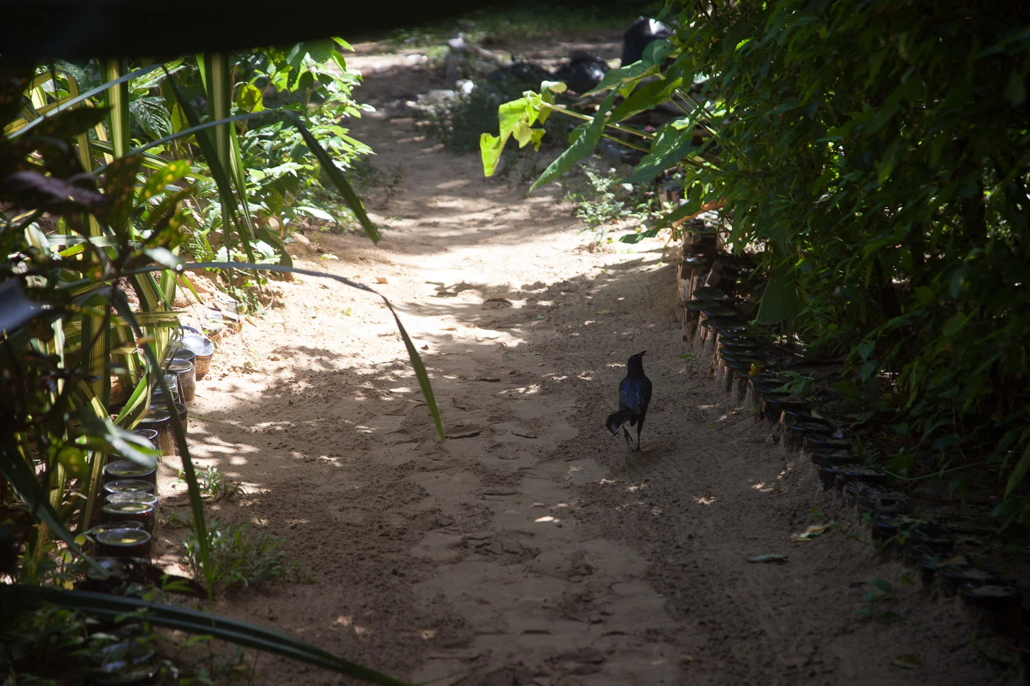 Panama Travel Series-50.jpg
