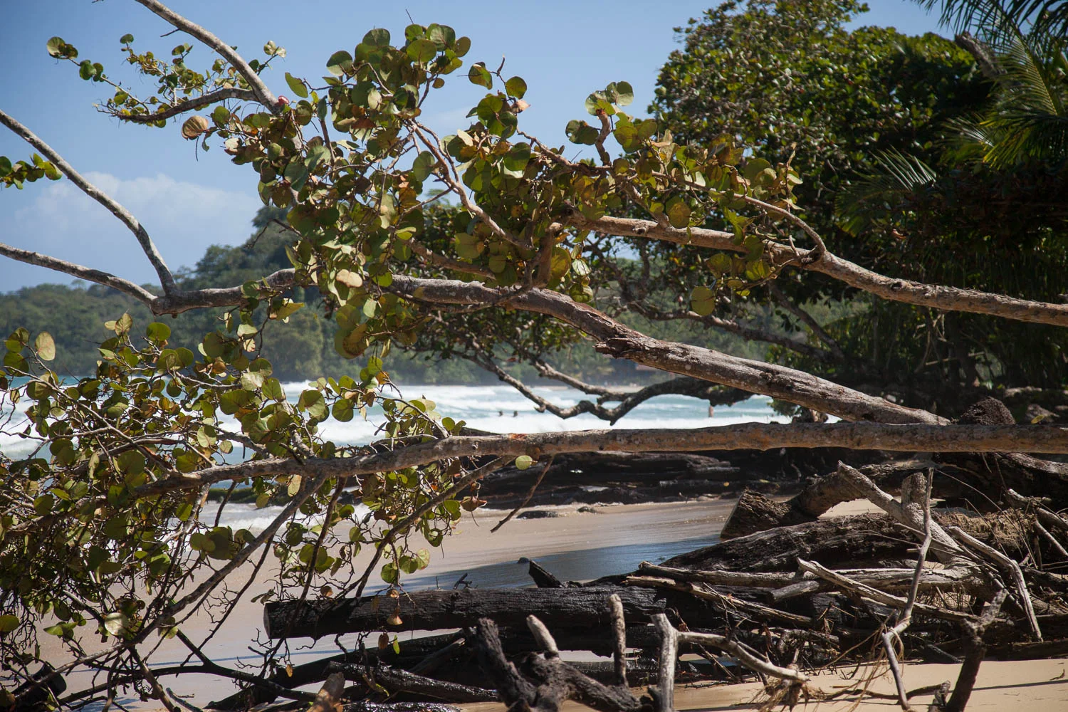 Panama Travel Series-54.jpg