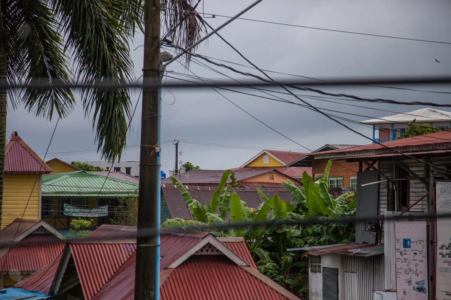 Panama Travel Series-80.jpg