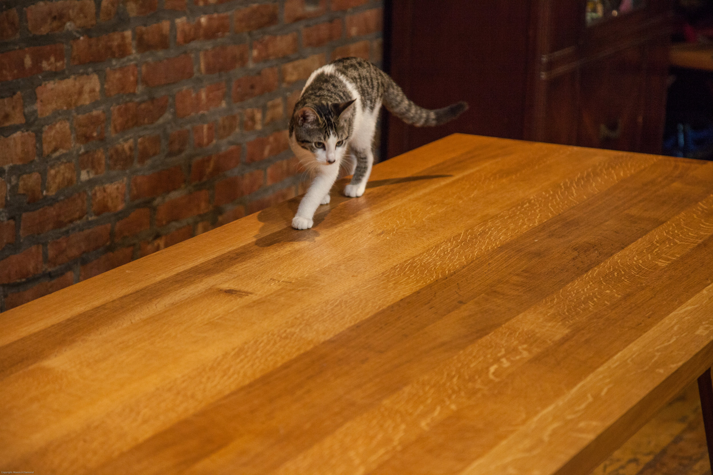 tobey finished gallery pic 7-14 (5 of 7).jpg