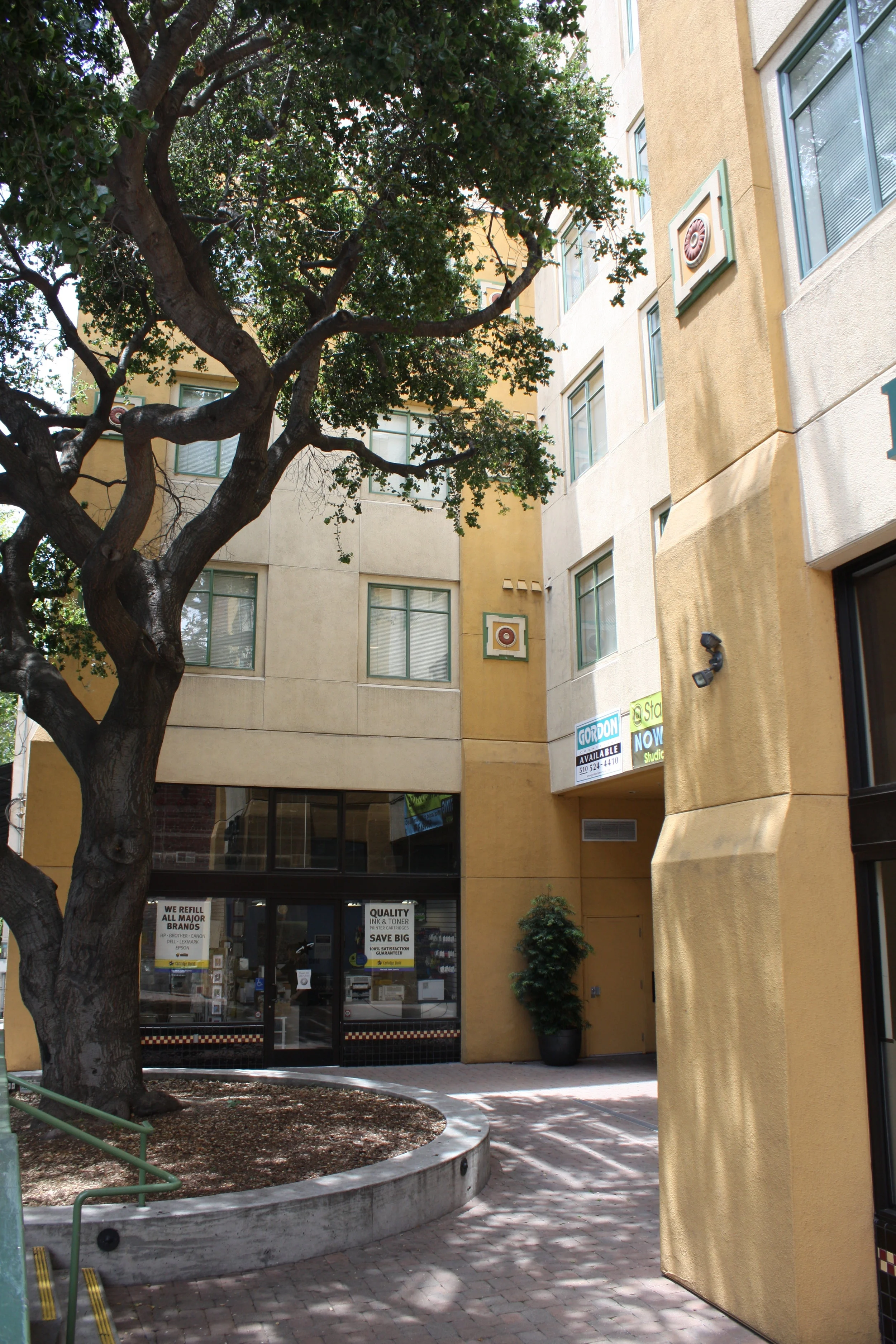 Front setback maintained a coast live oak tree