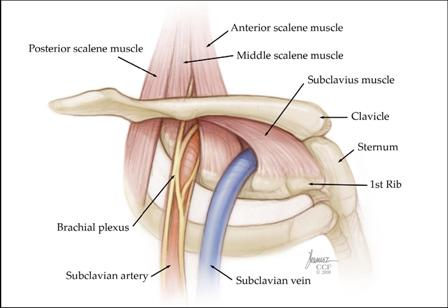 Source: myclevelandclinic.org