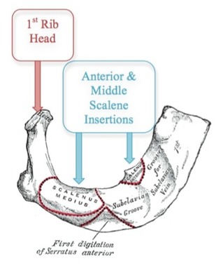 Source: myclevelandclinic.org