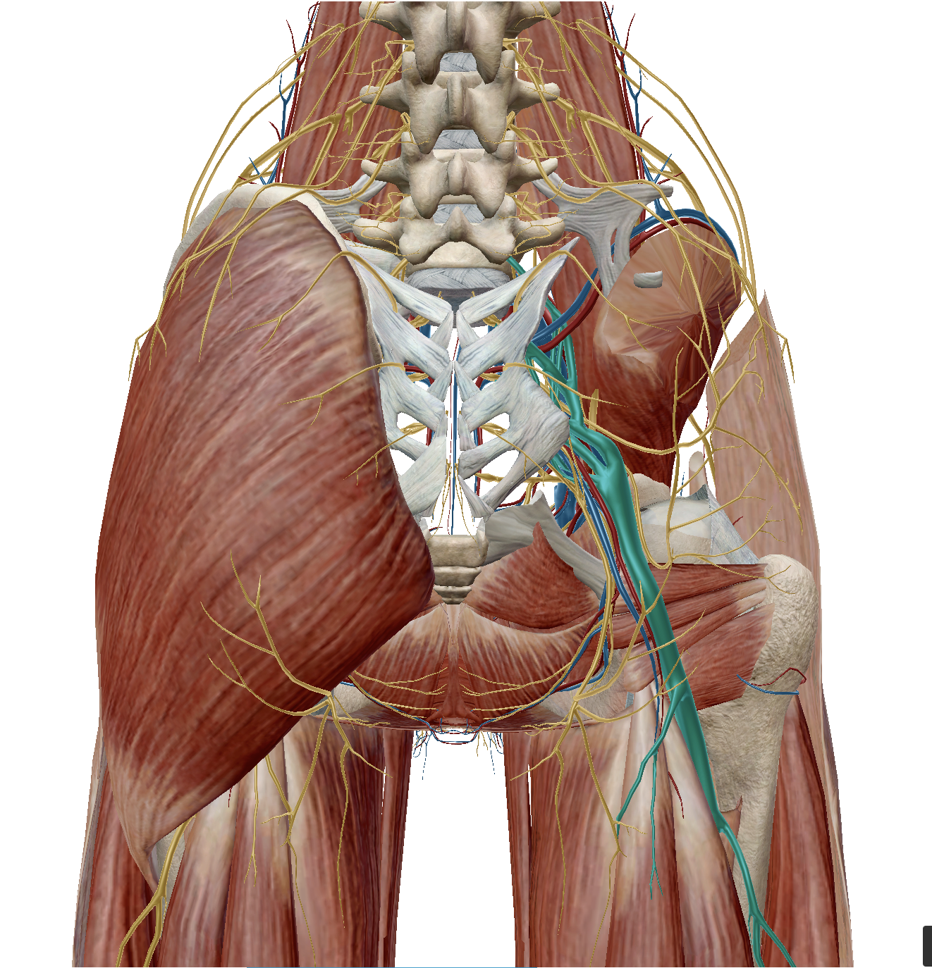 Screen Shot 2019-07-11 at 9.16.17 AM.png