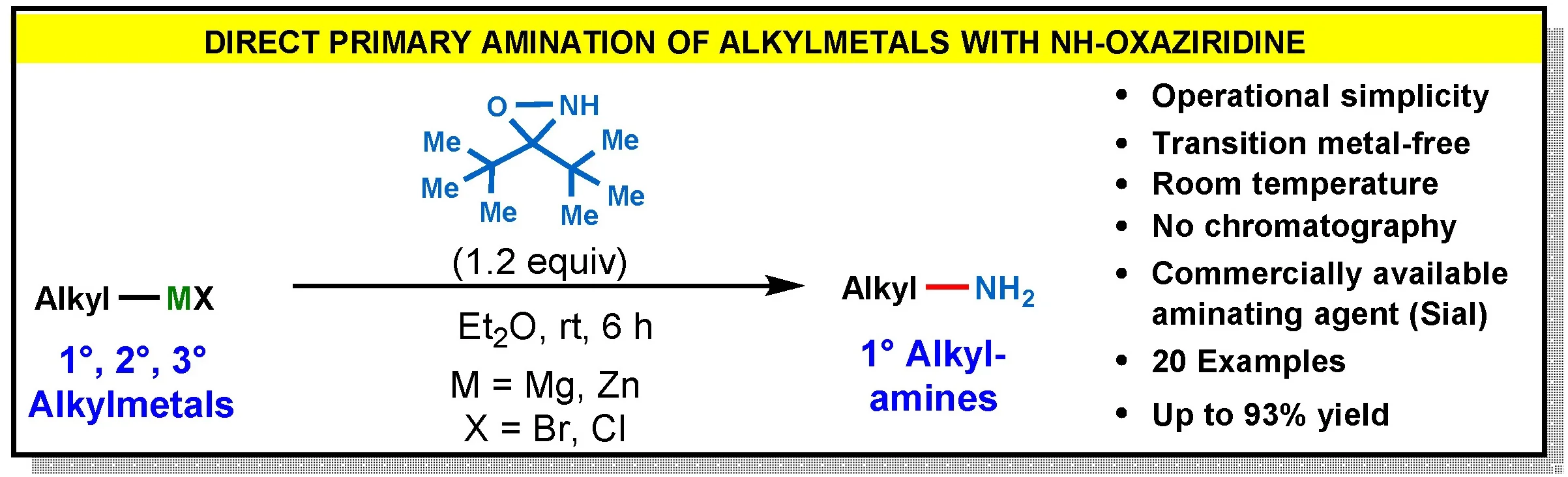Nicole_Alkyl_Amination_Updated.jpg