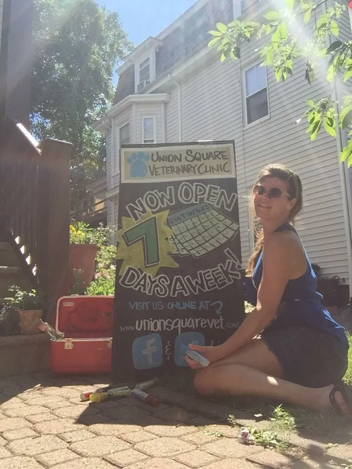  Work in Progress.&nbsp; A-frame for local vet's office. 