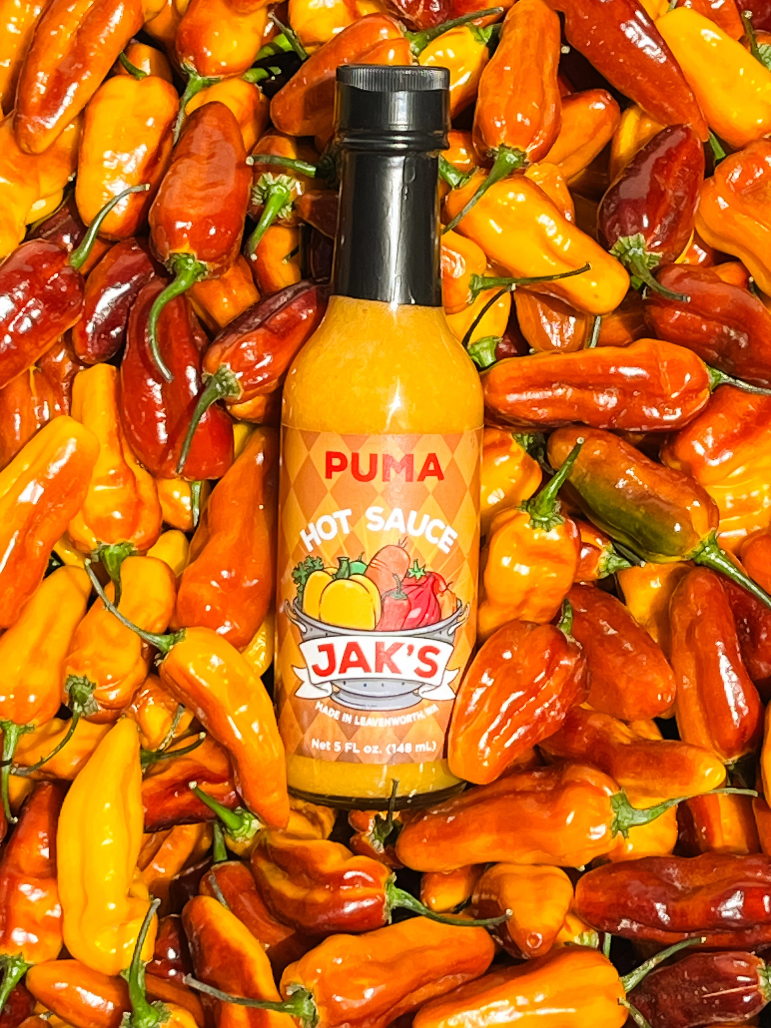 Puma Actual Size.JPG