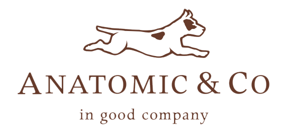 Anatomic & Co by Cresta Holdings